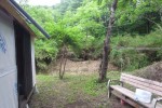 破滅小屋の奥は手付かずの笹…