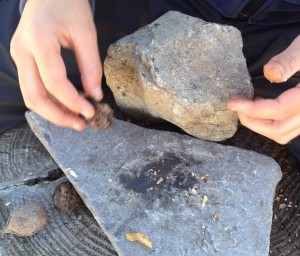 小学生が胡桃を石で割っているところ