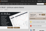 It's Brain - premium admin theme